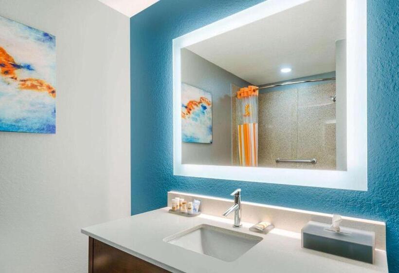 适合残疾人使用的标准间, La Quinta Inn & Suites By Wyndham St. Petersburg Northeast