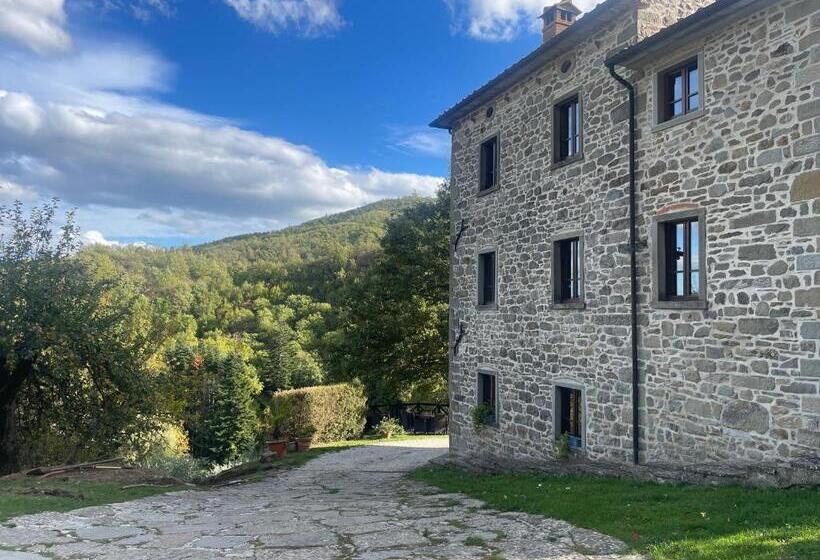 Номер Стандарт, Bio Agriturismo Il Vigno