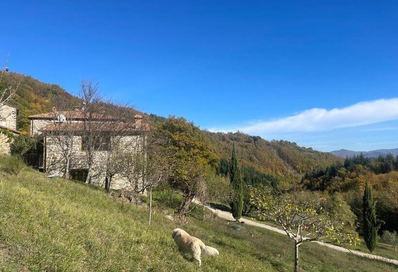 Люкс, Bio Agriturismo Il Vigno