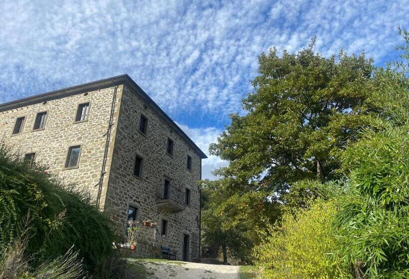 Апартаменты 1 Спальня Вид на Бассейн, Bio Agriturismo Il Vigno