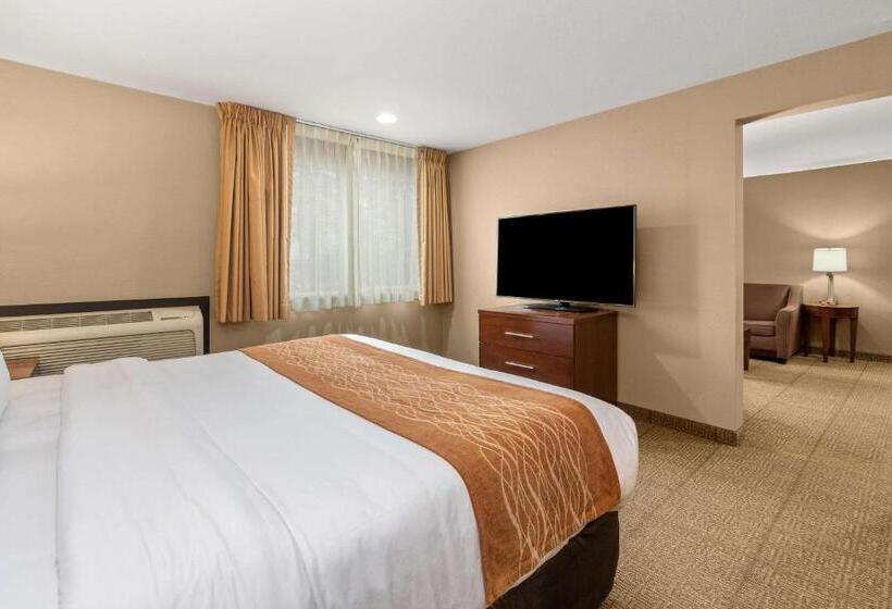 Номер Стандарт, Comfort Inn & Suites Beaverton   Portland West