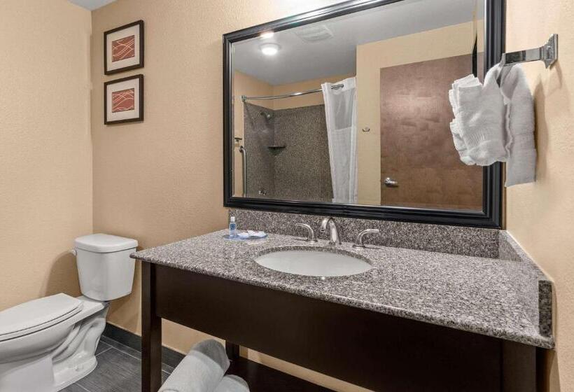 身障者適用スタンダードルーム, Comfort Inn & Suites Beaverton   Portland West