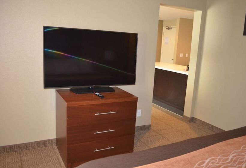 Люкс Кровать Кинг, Comfort Inn & Suites Beaverton   Portland West