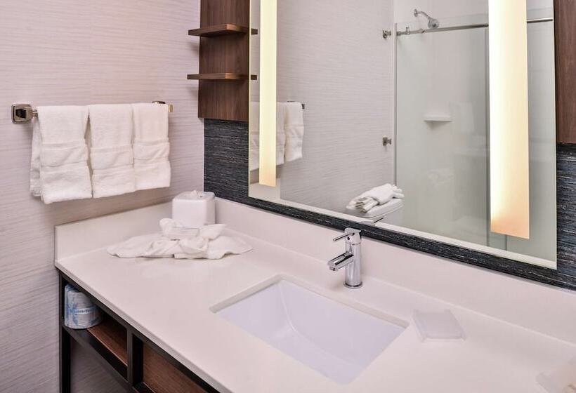 Номер Стандарт, Hilton Garden Inn Salt Lake City Downtown