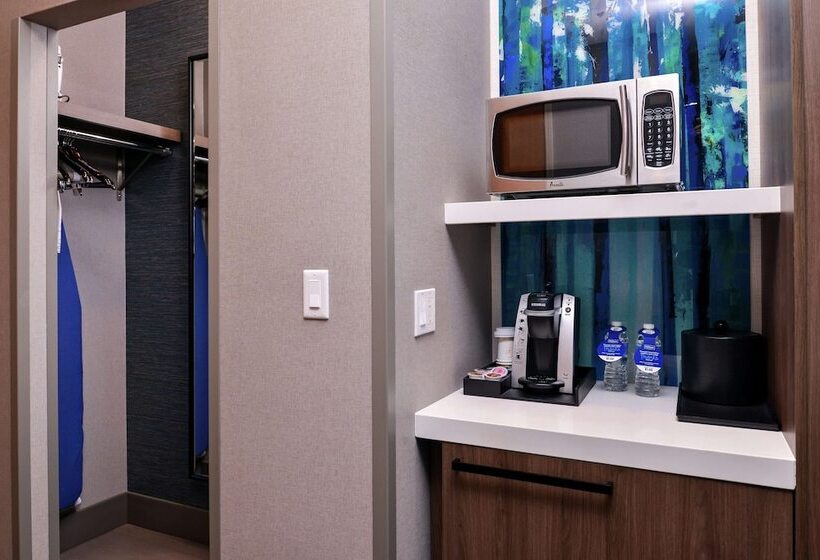 Номер Стандарт, Hilton Garden Inn Salt Lake City Downtown
