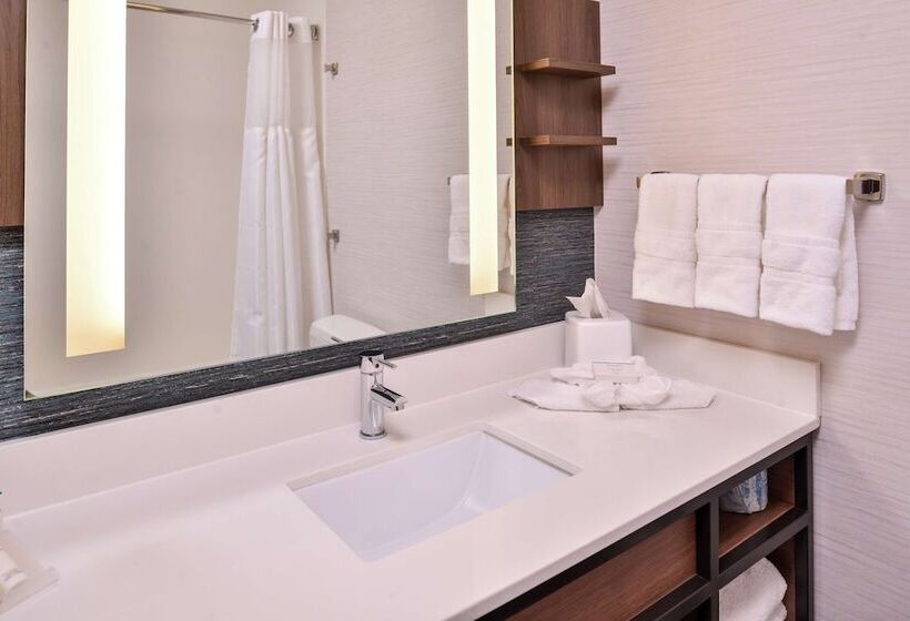 Номер Стандарт Адаптированный для Инвалидов, Hilton Garden Inn Salt Lake City Downtown