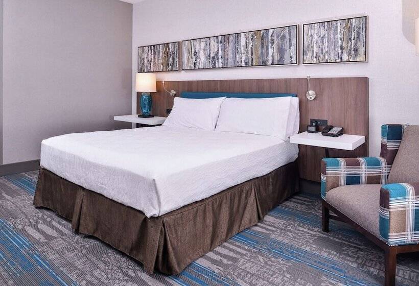 Номер Стандарт Адаптированный для Инвалидов, Hilton Garden Inn Salt Lake City Downtown