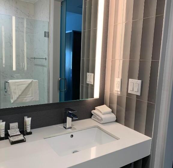 장애인을 위한 킹사이즈 침대 스탠다드 룸, Marriott New York Jfk Airport