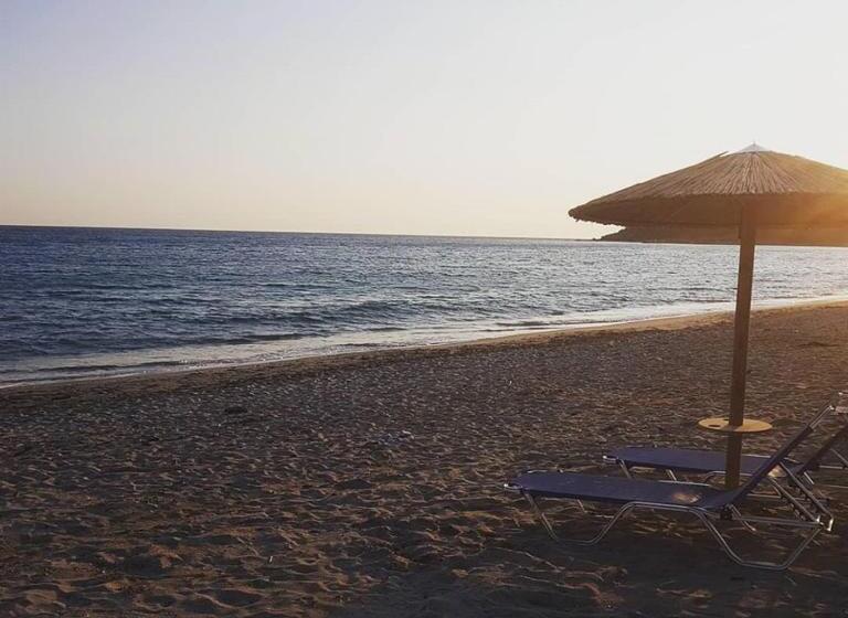 اتاق استاندارد با چشم‌انداز دریا, Ocean Hotel Resort