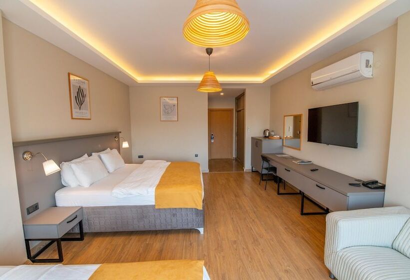 Трехместный Номер Deluxe, Belci City House
