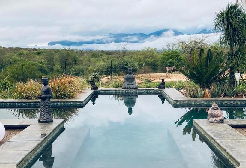 Семейный Номер, Hippomoon Lodge Game Reserve