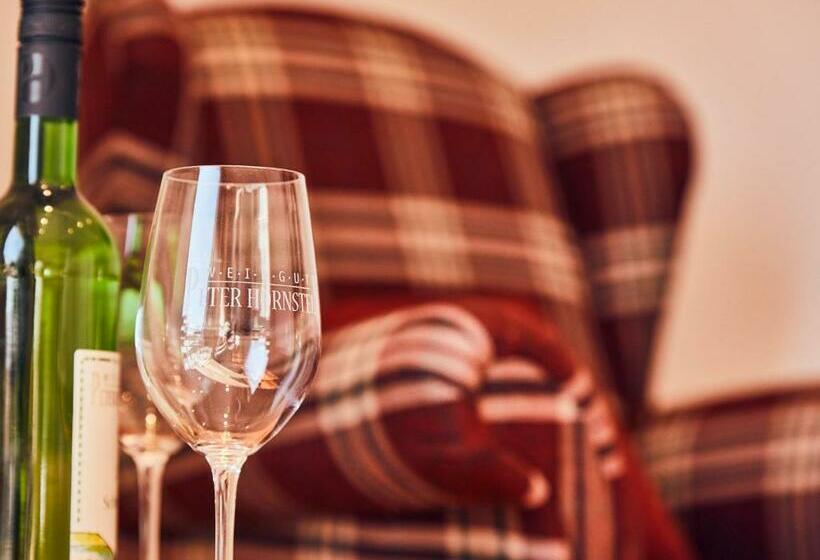 Номер Стандарт Вид на Озеро, Hornstein   Weingut, Vinothek & Gastronomie