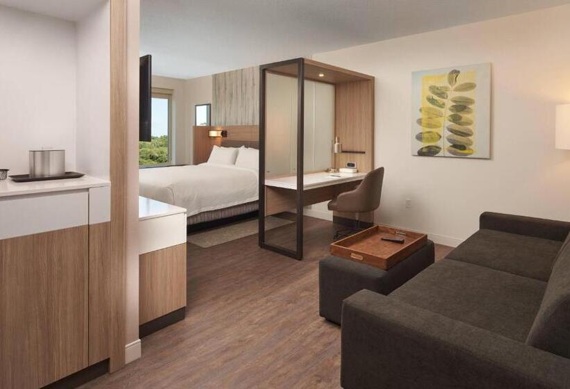 Люкс Кровать Кинг, Springhill Suites By Marriott Orlando Lake Nona