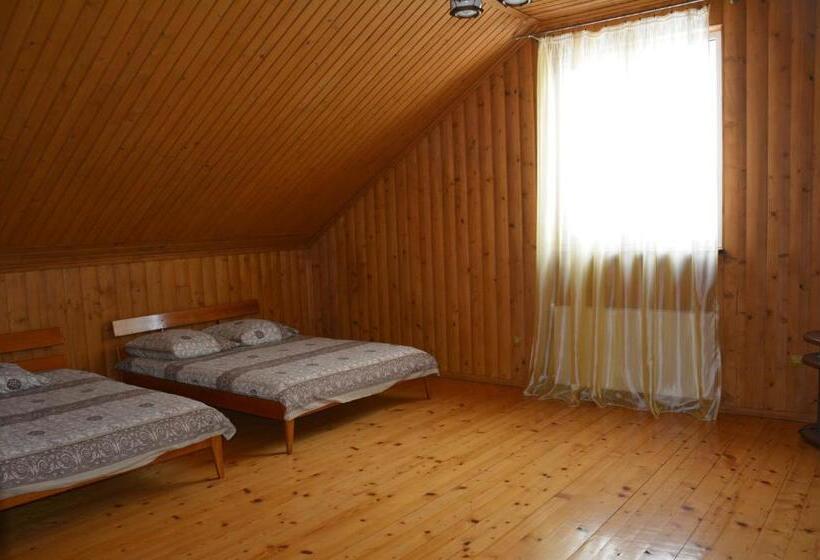 Номер Стандарт, у мирослави