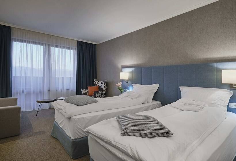 Номер Стандарт, Spa Resort St Ivan Rilski  Halfboard & All Inclusive