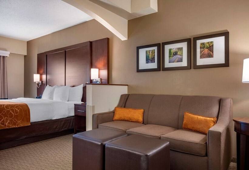 Номер Стандарт Кровать Кинг Адаптированный для Инвалидов, Comfort Suites Near Penn State