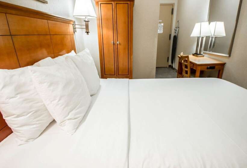 高级大房间, Econo Lodge Times Square