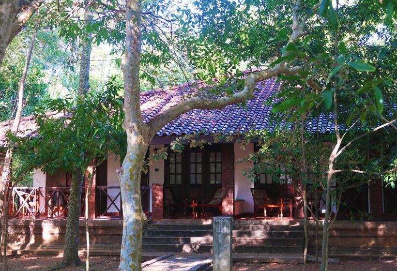 اتاق استاندارد با چشم‌انداز باغ, Palm Garden Village