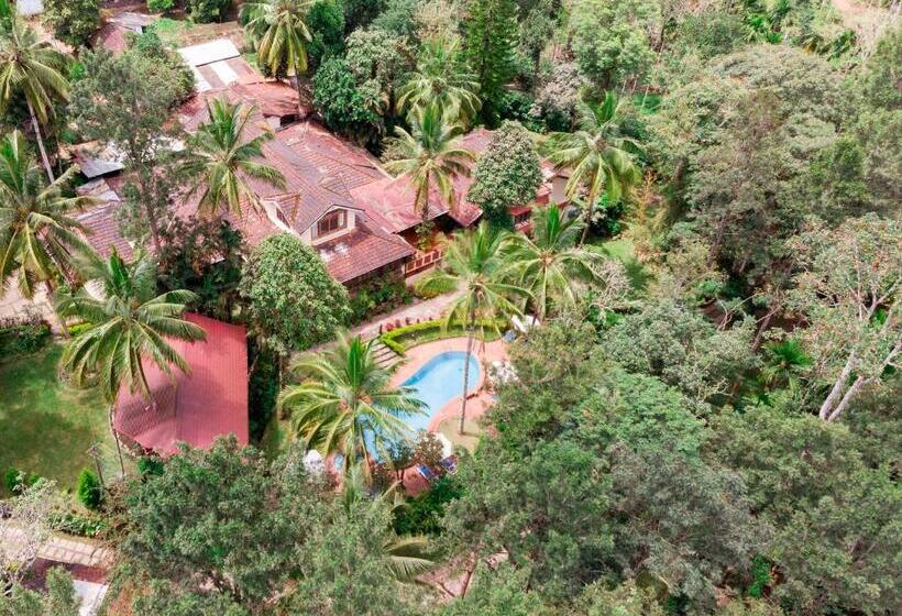 Номер Стандарт Вид на Сад, Tranquil Resort   Blusalzz Collection, Wayanad   Kerala