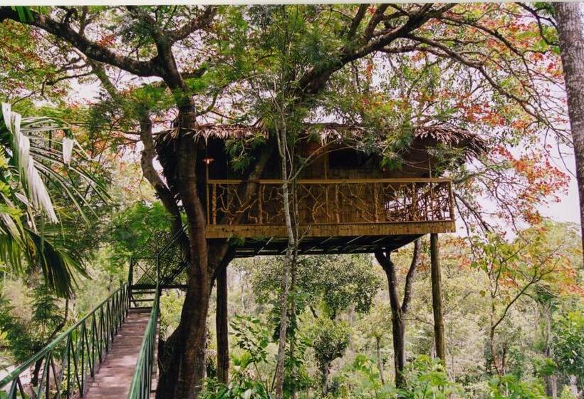 Дом 1 Спальня, Tranquil Resort   Blusalzz Collection, Wayanad   Kerala