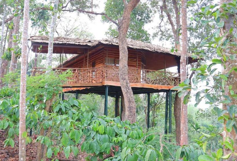 Вилла 1 Спальня, Tranquil Resort   Blusalzz Collection, Wayanad   Kerala
