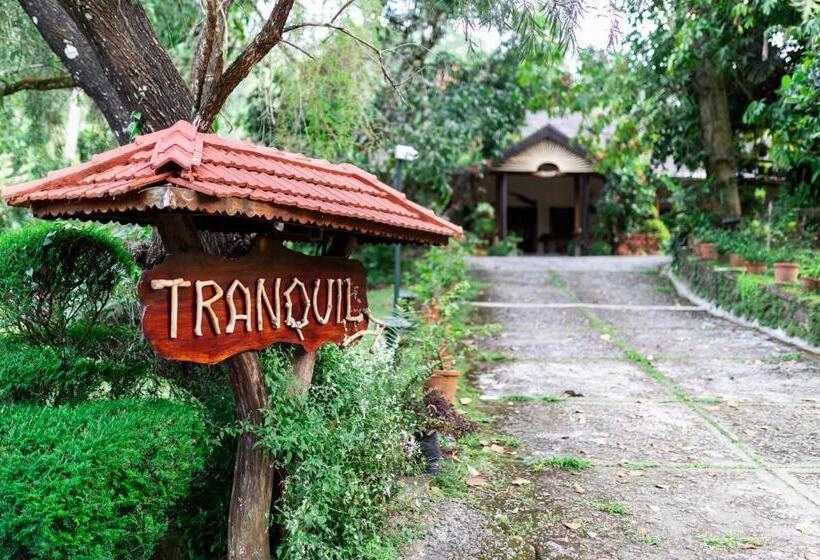 Люкс Повышенной Комфортности, Tranquil Resort   Blusalzz Collection, Wayanad   Kerala