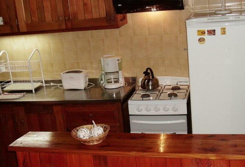 Apartamento 2 Dormitórios, Apart Manantial Del Valle
