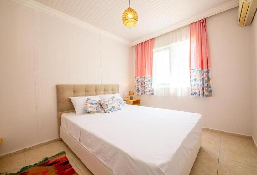 Quarto Estandar, Bhavana Gökova