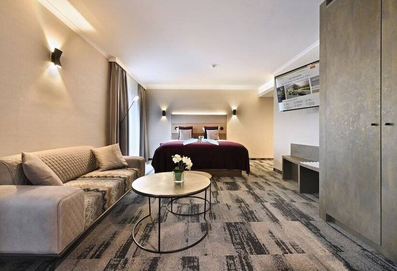 Номер Superior, Charleroi Airport   Van Der Valk