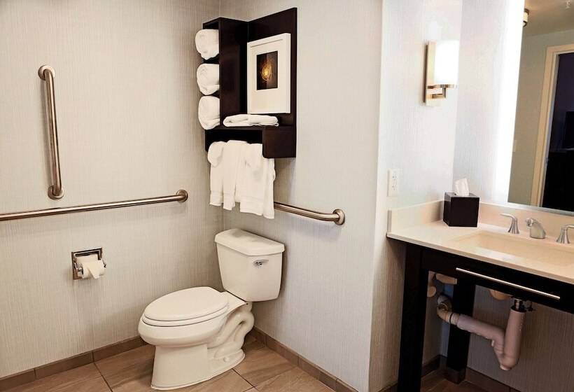 سوئیت برای معلولان, Homewood Suites By Hilton   Asheville