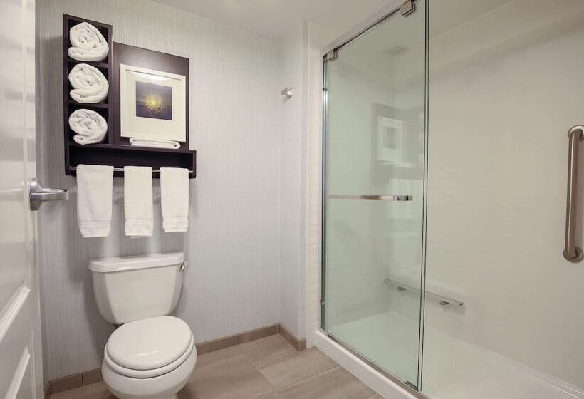 استودیوی پریمیوم, Homewood Suites By Hilton   Asheville