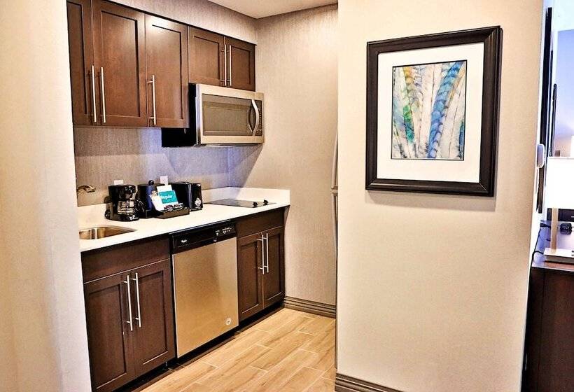 استودیوی پریمیوم, Homewood Suites By Hilton   Asheville