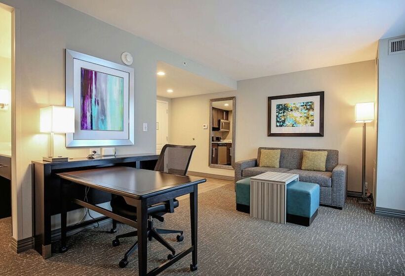 استودیوی پریمیوم, Homewood Suites By Hilton   Asheville