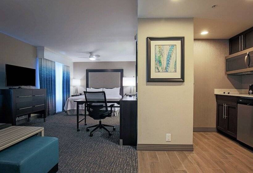 استودیوی پریمیوم, Homewood Suites By Hilton   Asheville