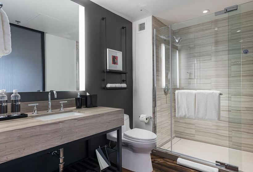 Номер Премиум, Shashi Hotel Mountain View Palo Alto