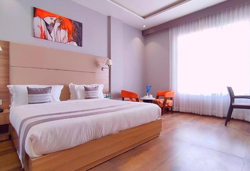 高级大房间, Shrigo Hotel Nathdwara