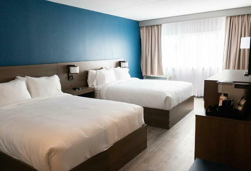 スタンダードルーム, Comfort Suites Kingston Central
