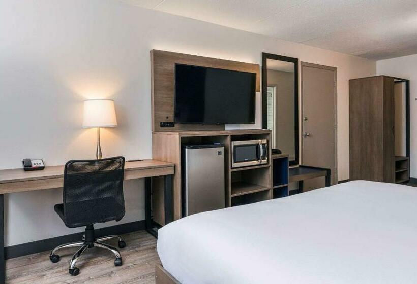 身障者適用スタンダードルーム, Comfort Suites Kingston Central