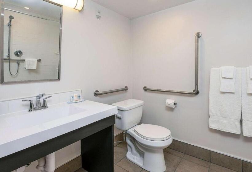 身障者適用スタンダードルーム, Comfort Suites Kingston Central