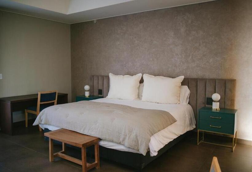 带1个卧室的豪华公寓, Casa Agostino   Luxury Wine And Hotel In Bodega Agostino