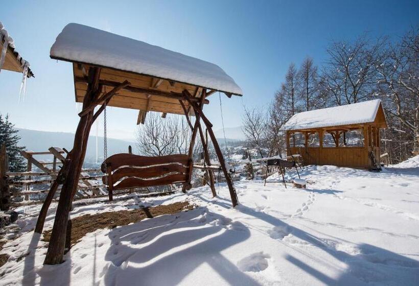 Номер Стандарт Вид на Горы, Gazdіvska Hata Guest House