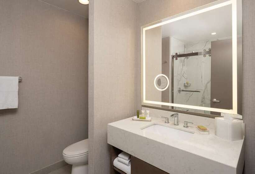 Номер Стандарт, Hilton Orlando