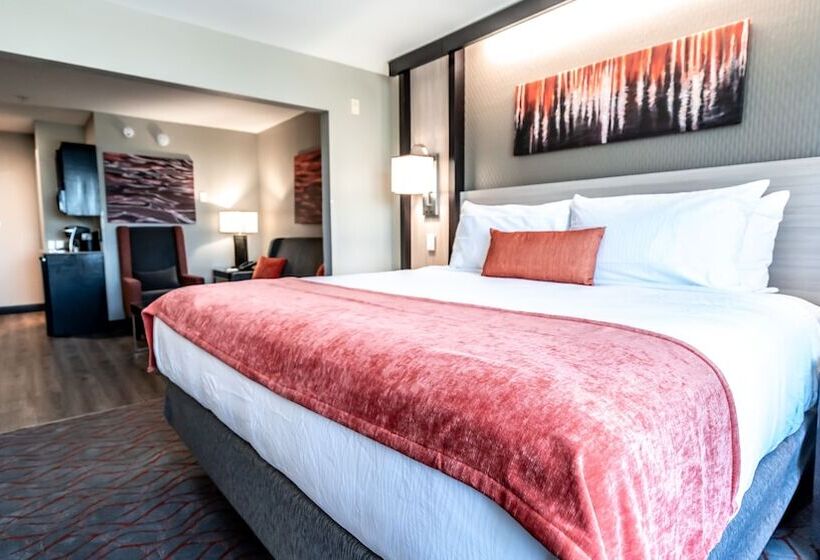 Люкс, Springhill Suites By Marriott Conyers