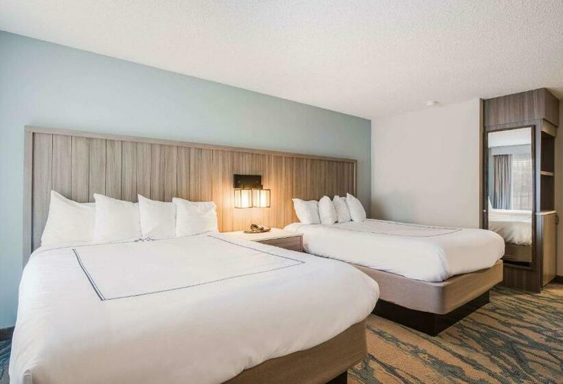 Номер Стандарт, Heidel House Hotel And Conference Center, Ascend Hotel Collection