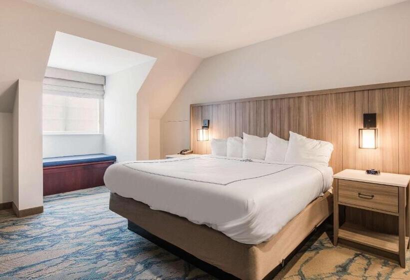 Номер Стандарт Кровать Кинг Адаптированный для Инвалидов, Heidel House Hotel And Conference Center, Ascend Hotel Collection
