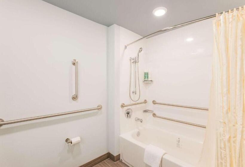 Номер Стандарт Адаптированный для Инвалидов, Heidel House Hotel And Conference Center, Ascend Hotel Collection