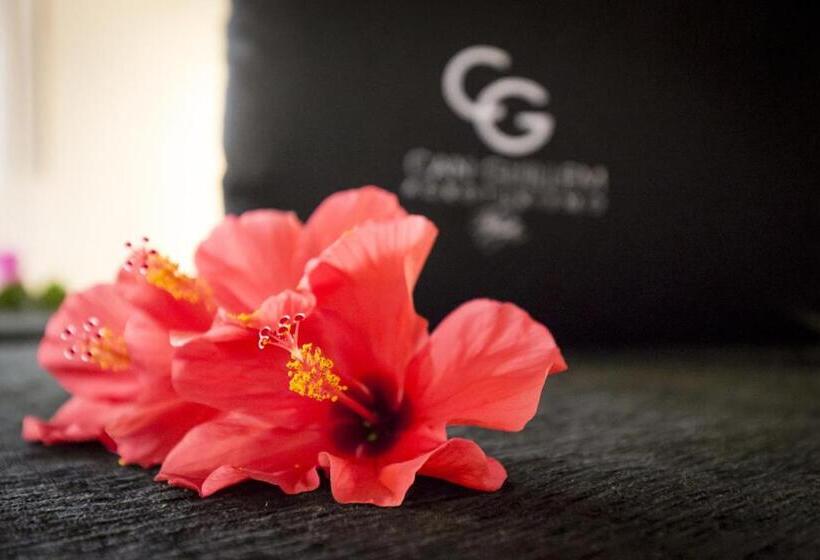 ２ベッドルームのデラックスビラ, Agroturismo Can Guillem