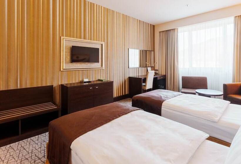 اتاق استاندارد با چشم‌انداز شهر, Holiday Inn Zilina, An Ihg
