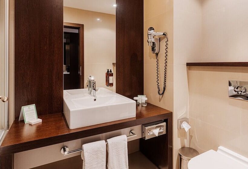 اتاق استاندارد با تخت دوبل, Holiday Inn Zilina, An Ihg