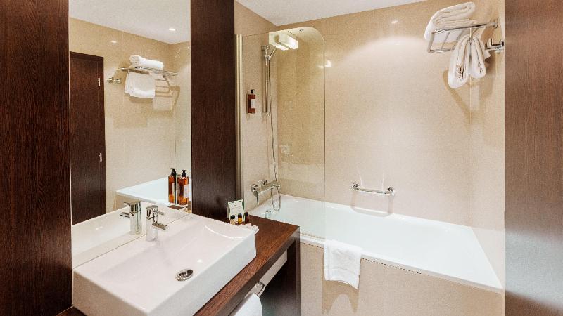 اتاق استاندارد با چشم‌انداز شهر, Holiday Inn Zilina, An Ihg